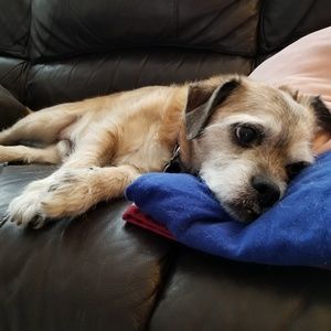 Meet your Posher, Tito